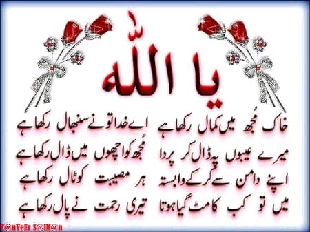 اللہ کی نعمتوں میں سے ایک نعمت کہ ہماری برائیاں چھپا رکھی ہیں