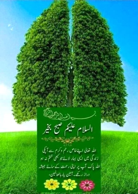 Islamic Quotes image
