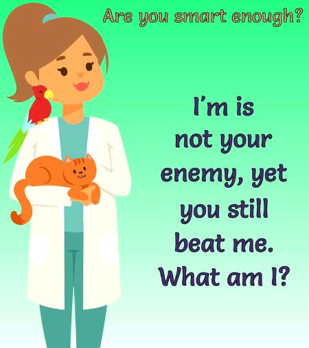 Riddles & Puzzles image