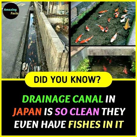 Did you know