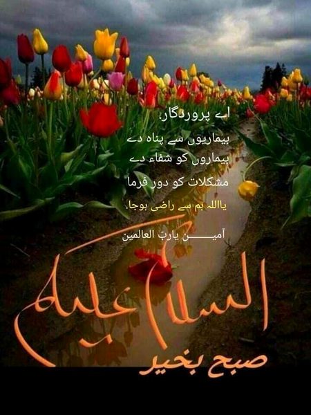 How are you dear friends