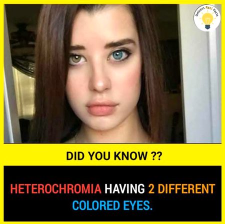 Did you Know