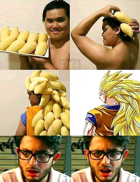 kahan se ate hain ye log