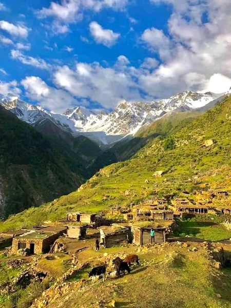 Bulachi bunji astore valley😍