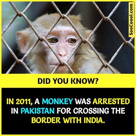 Did You Know