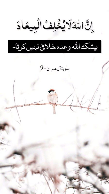 اس سے پہلے کہ تو کا ندھوں پہ اُٹھ جا ئے 
 بہتر ہے کہ تیرا سر سجدے میں جھُک جا ئے۔