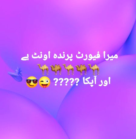 Hasso ni apna fvrt prinda btao bs😎😎😎