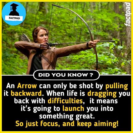 Did you Know