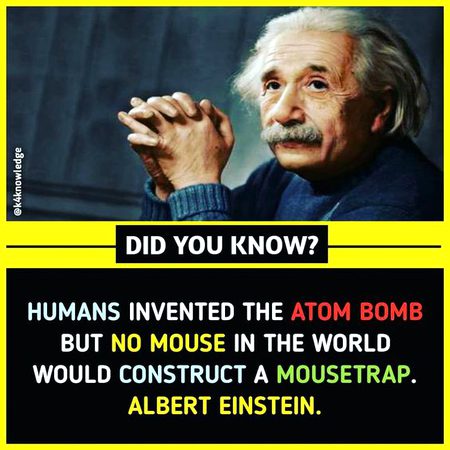 Did you Know