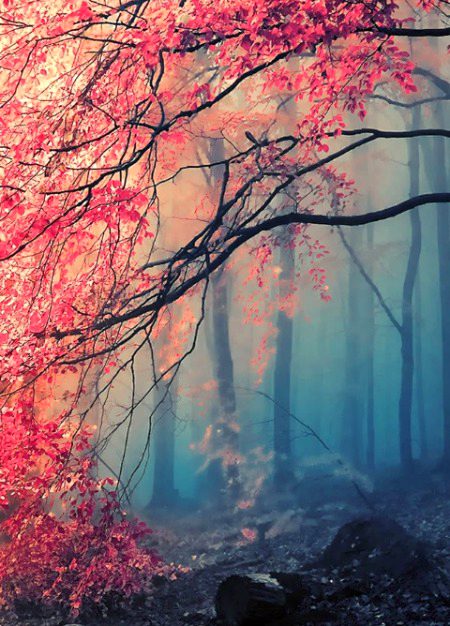 تم پہ گزرے گی تو تم بھی جان جاو گے ۔
کوئی اپنا یاد نہ کرے تو کتنا درد ہوتا ہے