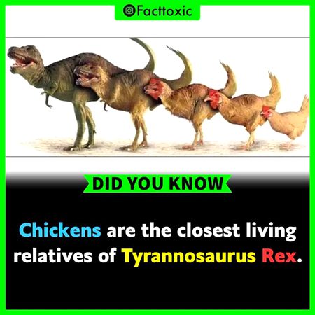 Did you Know