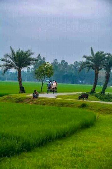 City walo sy haqarat ky siwa kuch na mila...
Aoo tumhy kesi gaon ly chalon...