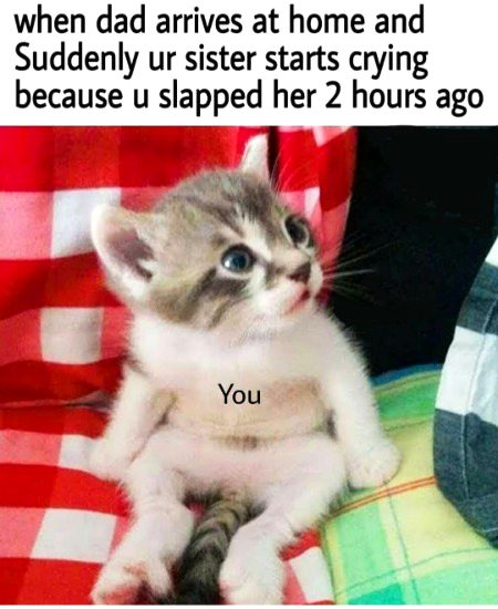 Awwww 😯😯😯😯