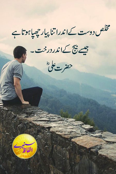 Attitude Quotes image