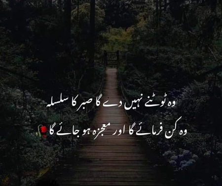 Beshak 💕💕💕💕