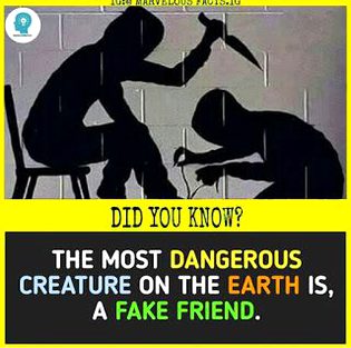 Did you Know