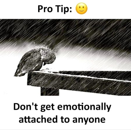 Life Advice image