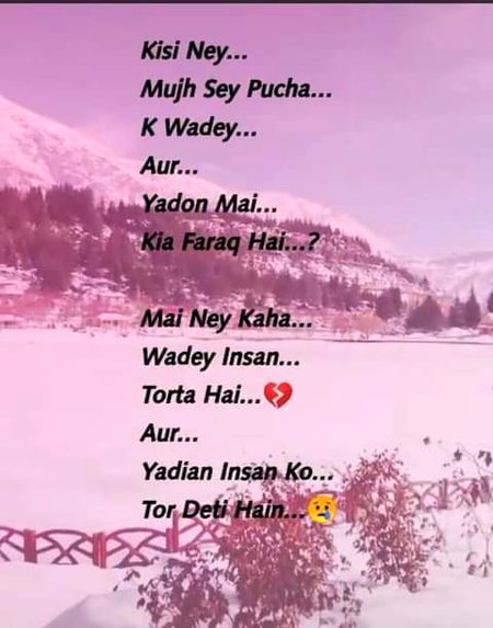 💕💕💕💖💖💕💕💕