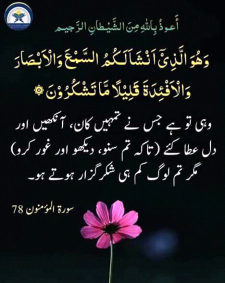 Beshak💞💞💞💞