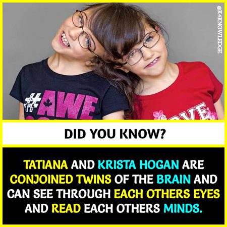 Did you Know