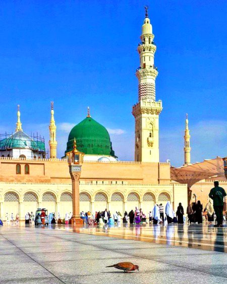 Beautiful Structures image
