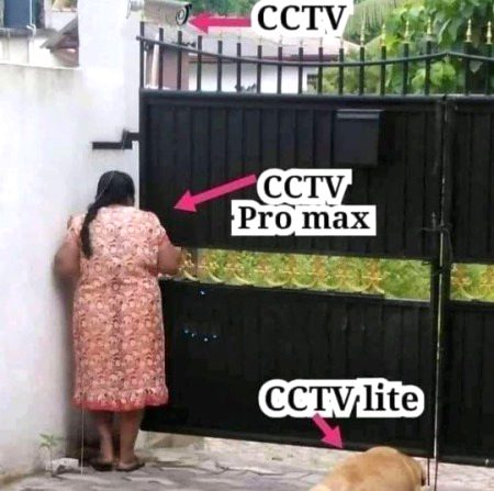 Memes & Satire image