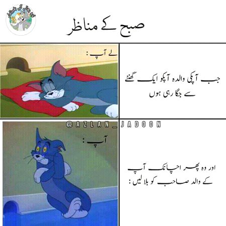 Memes & Satire image