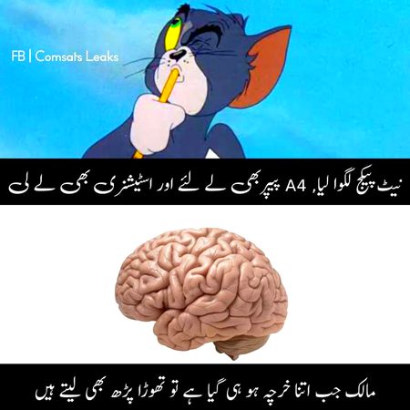 Memes & Satire image