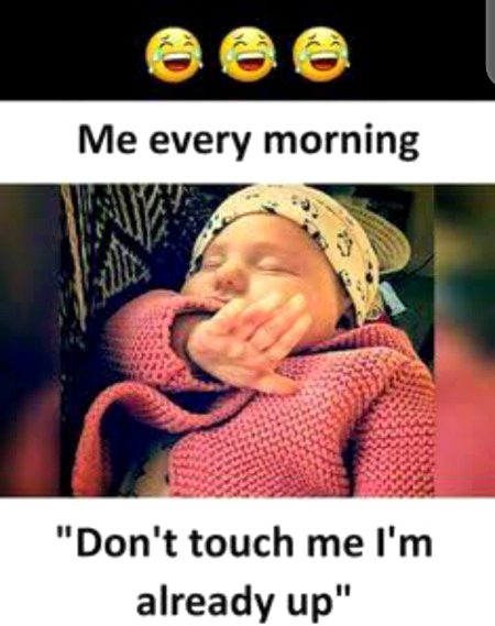 Memes & Satire image