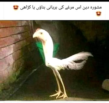 Funny joke