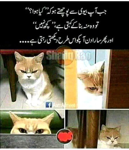 Funny joke