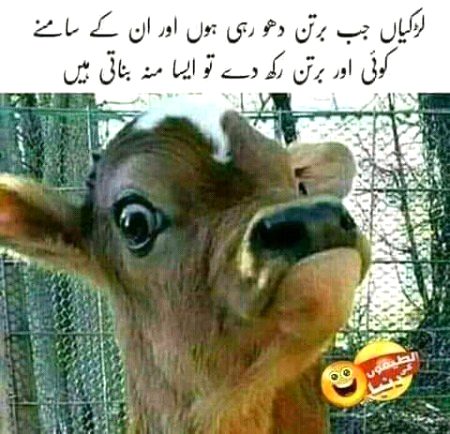 Funny joke