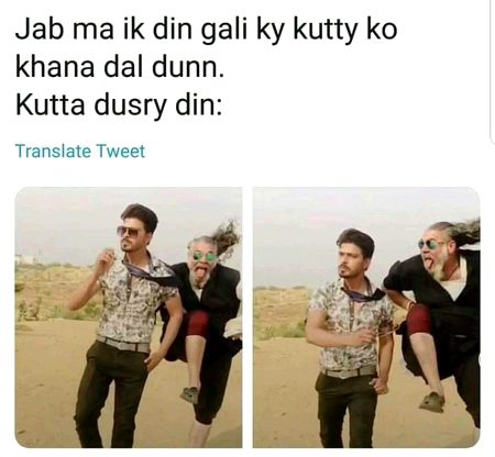 Memes & Satire image