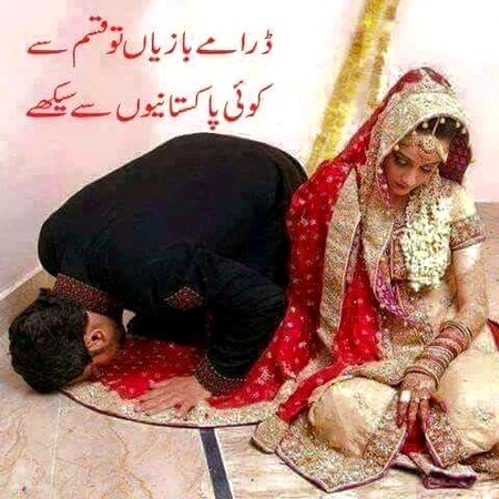 Memes & Satire image