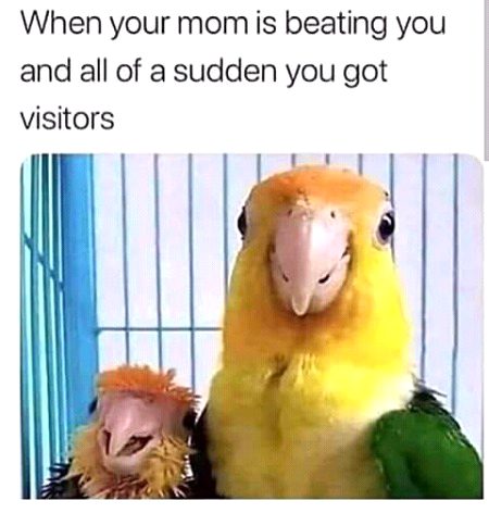 Funny joke
