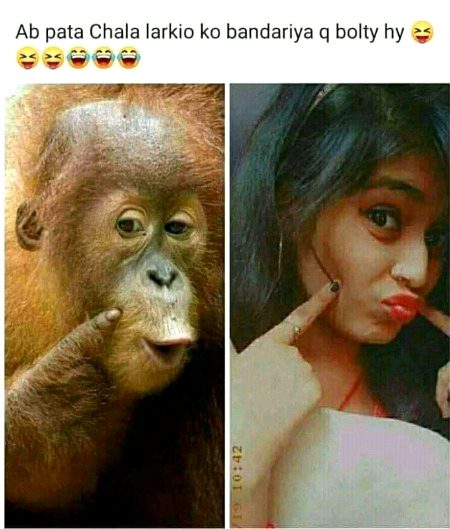 Funny joke