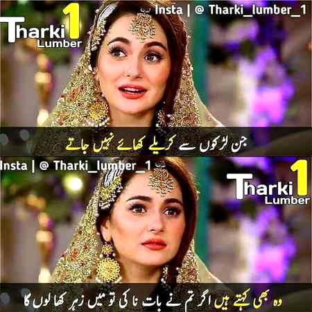 Memes & Satire image