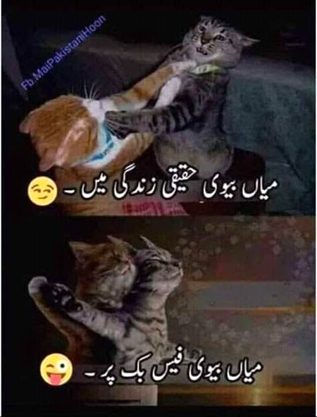 Memes & Satire image