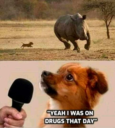 Funny joke