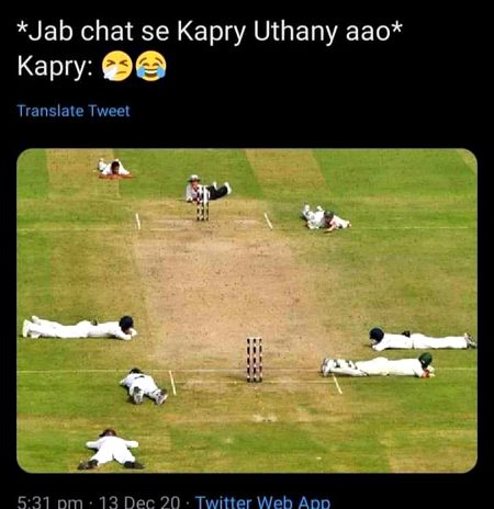 Memes & Satire image