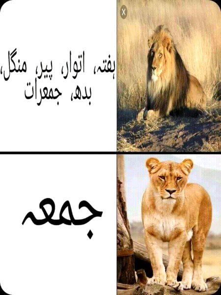 Funny joke