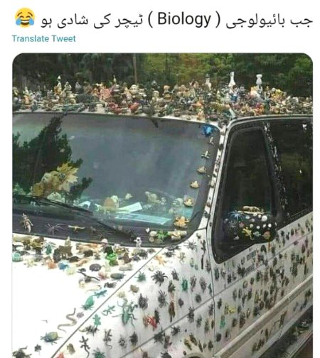Funny joke