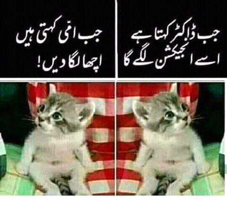 Funny joke