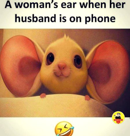 Memes & Satire image