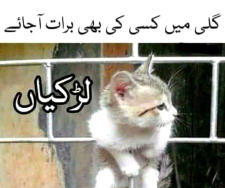 Funny joke