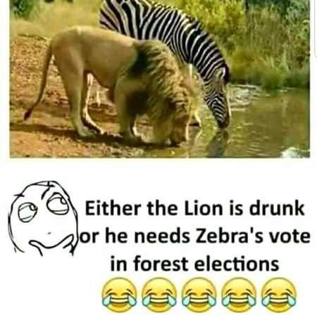 Funny joke