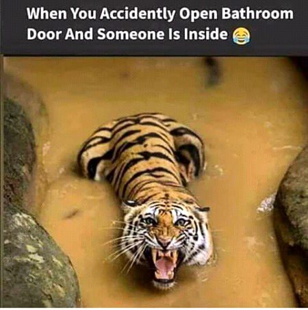 Funny joke