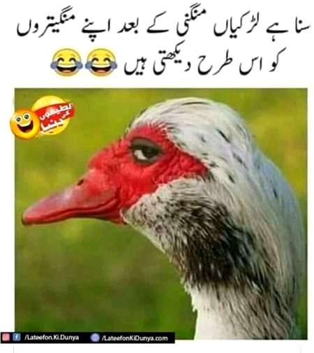 Funny joke