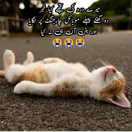Funny joke