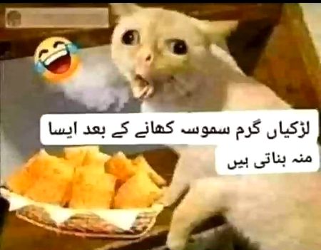 Funny joke